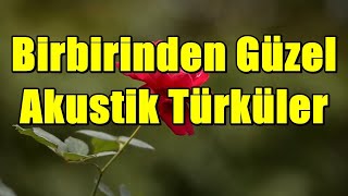 Birbirinden Güzel Akustik Türküler HD  KESİNTİSİZ türkü akustik [upl. by Notlem]