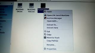 Java file not opening Linux 2024 [upl. by Llenrod681]