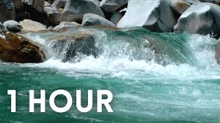 Clear Water Creek River Stream Nature Background Sounds For Relaxing Focusing Studying 4k [upl. by Atiuqcir]