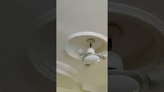 Ceiling fan noise fan shortvideo fansound shorts viralvideo [upl. by Cicily]