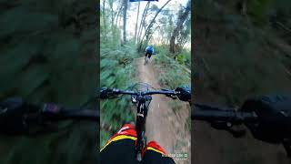 Ligne enduro haute vitesse vttae downhill [upl. by Gem]