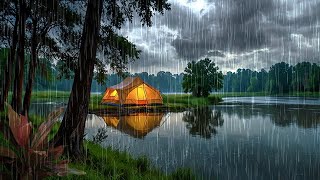 Rain in the lake camping in the forest relaxing sleeping meditating and healing mental health [upl. by Gay944]