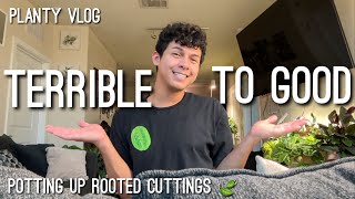 Planty Vlog  Bad to Good News 🥹 amp Potting Up some Rooted Cuttings [upl. by Leanora]