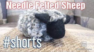 Needle Felt A Sheep  Easy New Craft  Shorts  shorts [upl. by Raquela]