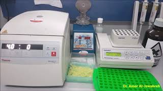 DNA extraction from Sandfly Phenol chloroform method Part 2 [upl. by Ylrak]