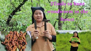 Hunting woodworm in the forest  Angami Naga  northeastindia [upl. by Fulton861]