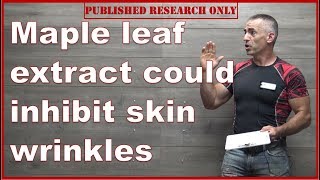 🍁 Maple leaf extract could inhibit skin wrinkles [upl. by Ave355]