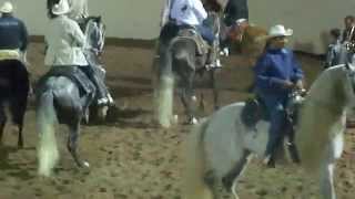 Caballos Bailadores Feria Ganadera Culiacan 3 [upl. by Ardnohs]