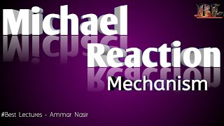 Michael Addition Reaction with Mechanism  Try to solve All Confusions  Best Lectures  Ammar Nasir [upl. by Amor]