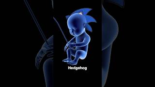 Sonic the Hedgehog is INSIDE YOU [upl. by Ahseenyt10]