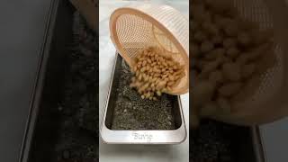 Suvie Brothy Beans amp Lentils recipe vegetarian [upl. by Uzial]