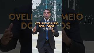 Eu vos envio como ovelhas no meio de lobos evangelho jesus reflexão [upl. by Mallis]