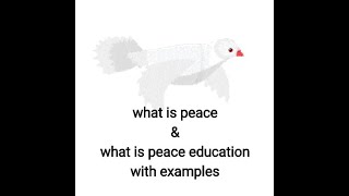 All about Peace amp peace education  Definition importance types of Peace amp peace education [upl. by Neimad]