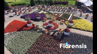 Florensis Flower Trials® 2017 [upl. by Sirmons]