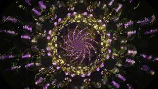 Solfeggio Frequency 825 Hz  Raise Your Energy Vibration Awaken Intuition amp Remove Self Doubt [upl. by Daryle]