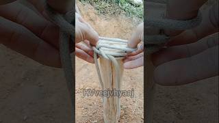 How to tie 3 loops of rope to the towing pole shorts snake rope Knot [upl. by Horan]