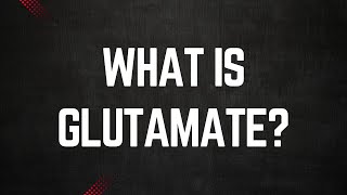 What is Glutamate [upl. by Aneerak]