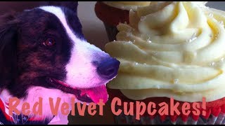 Red Velvet Cupcakes  Five Minute Pastry School [upl. by Nnahtur424]