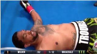 Deontay Wilder vs Dominic Breazeale Full Fight Highlights HD Wilder vs Breazeale 1st Round KO [upl. by Aminta]