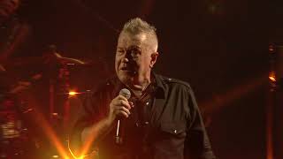 Cold Chisel performing Flame Trees  Armidale Australia 2024 [upl. by Iznekcam51]