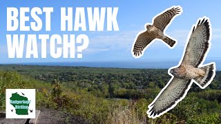 Experience the MOST EPIC Hawk Migration at Hawk Weekend Festival [upl. by Corbie772]