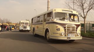 100th Anniversary of Bus History in Dresden  Convoy [upl. by Yajet263]