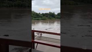 GUANACASTE UNDER WATER Tempisque River Floods Its Banks costarica floods [upl. by Sivie]