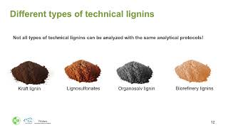 Renewable resources the future role of lignins [upl. by Losiram]