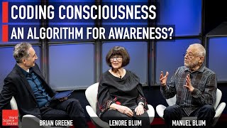 Coding Consciousness An Algorithm for Awareness [upl. by Shaum]