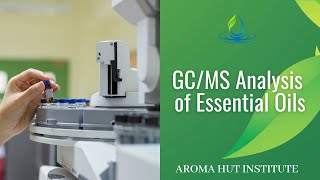 GCMS Analysis of Essential Oils  Gas Chromatography Mass Spectrometry GCMS [upl. by Moorefield]