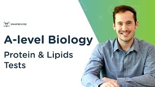 Protein amp Lipids Tests Biuret amp Emulsion Test  Alevel Biology  OCR AQA Edexcel [upl. by Nevanod32]