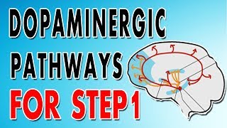 Dopaminergic Pathways [upl. by Wolfie]