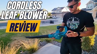 Cordless Leaf Blower Review 🍃  2x20V Battery 2 Speed Levels for Lawn Care amp Snow Blowing [upl. by Frida107]