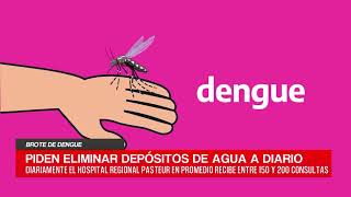 C20N  DARÍO QUINODOZ  BROTE DE DENGUE 2 [upl. by Yrek]