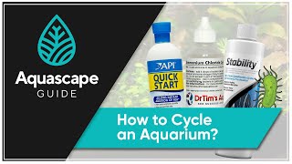 AquascapeGuide  How to Cycle an Aquarium [upl. by Borszcz3]