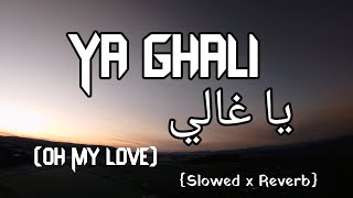 Ya Ghali  Lofi Version  Latest Arabic Song  LofiMixO Slowed x Reverb  Rola Kadri [upl. by Sabba35]