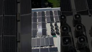 What is a photovoltaic cell solar solarpower solarpanels [upl. by Best]