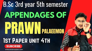 Appendages of Paleomon BSc 3rd Year 5th Semester Zoology 1st paper  Appendages of Prawn BSc 3rd [upl. by Alarise]