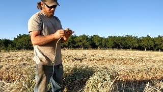 Is the Hay Ready to Bale Yet [upl. by Adnauq]