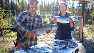 Canning amp Curing Alaska Coho Salmon [upl. by Kassel]