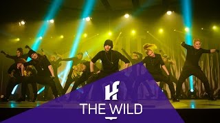 THE WILD  1st Place  Showcase  Hit The Floor Gatineau HTF2015 [upl. by Mirelle]