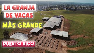 Visité la “GRANJA” más quotGRANDEquot  y prestigiosa de Puerto Rico reconocida POR SU EXCELENCIA [upl. by Akcira]