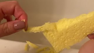 Wet sponge ripping ASMR 🧽 [upl. by Asilehc]