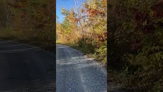 Another video of biking the northern woods 🌲🍁🍂 nature cabin lake [upl. by Eenafets]