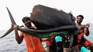 Catching Sail Fish King Fish amp Mahi Mahi Fish in the Deep Sea [upl. by Iliram]