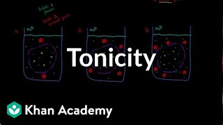 Tonicity  comparing 2 solutions  Lab values and concentrations  Heatlh amp Medicine  Khan Academy [upl. by Ecinnaj]