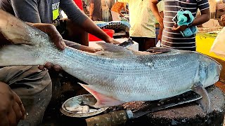 Giant Rawas Fish Cutting amp Chopping By Expert Fish Cutter  Fish Cutting Skills [upl. by Wanids]