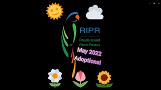 May 2022 Adoptions from RIPR [upl. by Odette534]