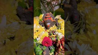 మా ఇంట్లో కొలువైన మట్టి గణపయ్య🙏🙏🙏ganeshachathurthi ganesh ganeshchaturthi music song [upl. by Aseel]