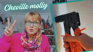 Comment mettre et enlever une cheville molly [upl. by Thibaut]